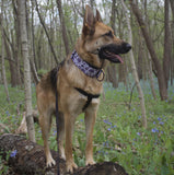 Lilac Scream Canvas Collar